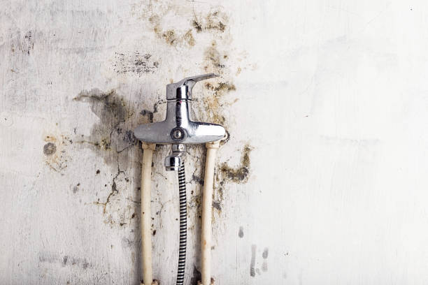 Best Post-Flood Mold Remediation in Hydro, OK