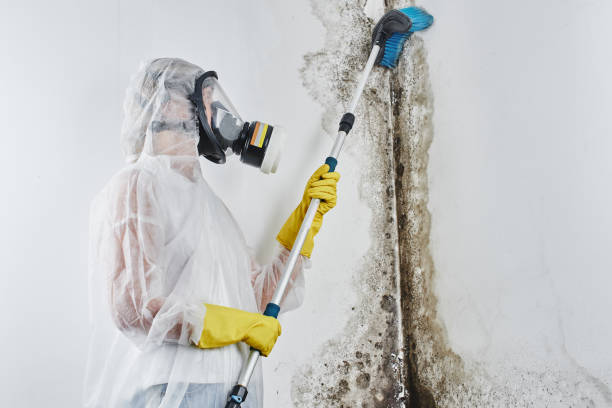 Best Post-Remediation Services in Hydro, OK