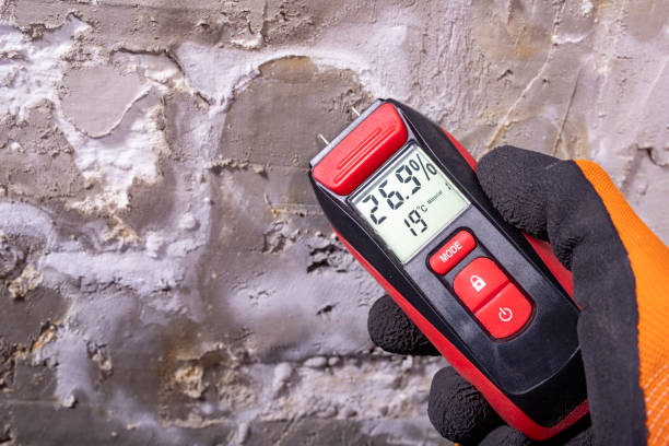 Best Basement Mold Remediation in Hydro, OK