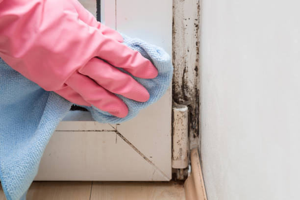 Best HVAC Mold Remediation in Hydro, OK